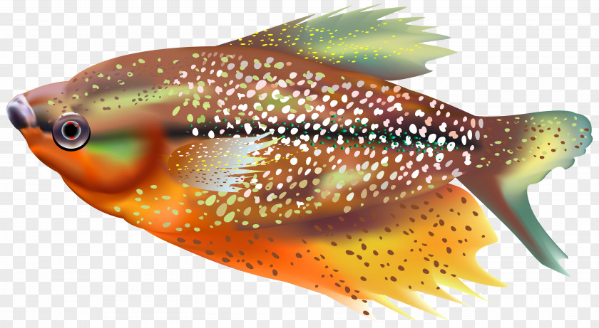 Orange Fish Transparent Clip Art Image PNG