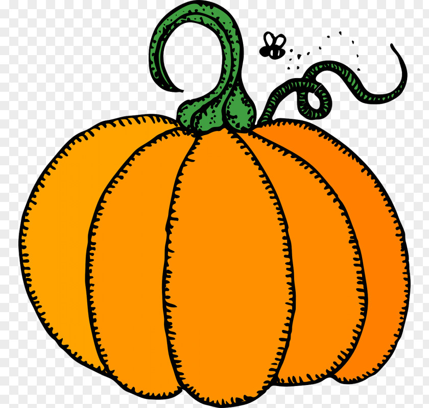 Pumpkin Cucurbita Pepo Clip Art PNG