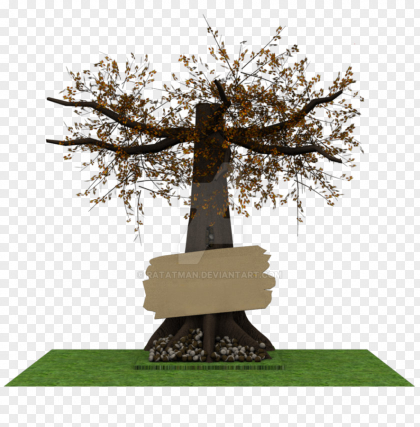 3D Max Monument Bonsai Memorial Branching PNG