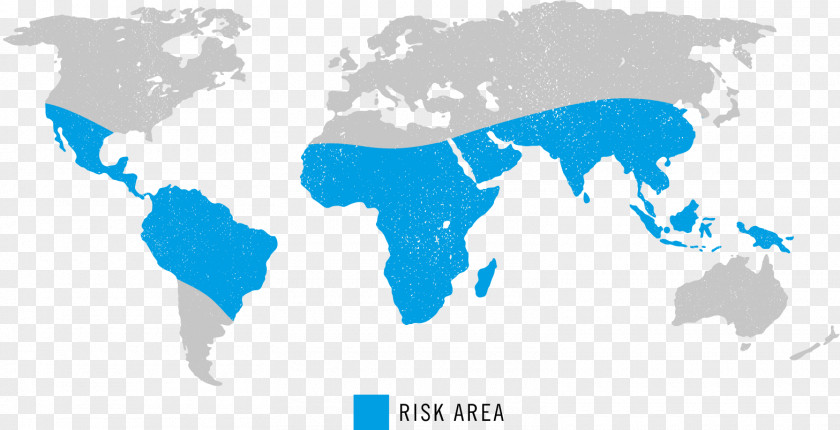 Chikungunya Virus Infection World Map Globe Old PNG