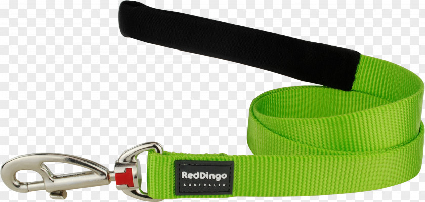 Citron Vert Leash Green Belt PNG