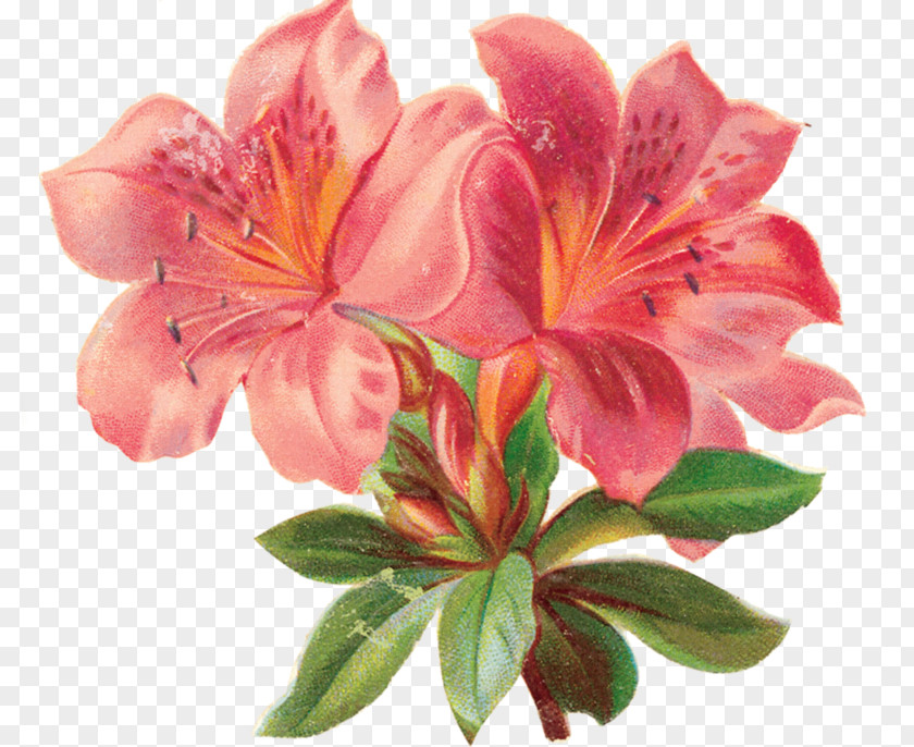 Flower Paper Cross-stitch Clip Art PNG