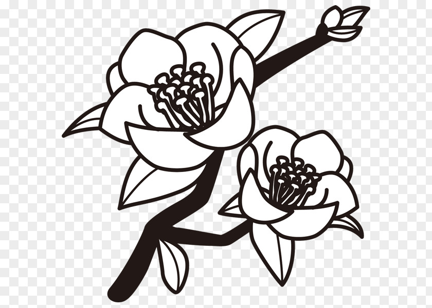 Ohana Black And White Drawing Japanese Camellia Monochrome Painting Clip Art PNG