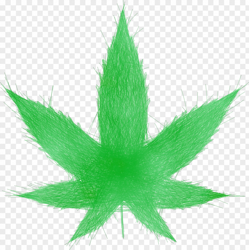 Weed Hemp Family Cannabis Leaf Background PNG
