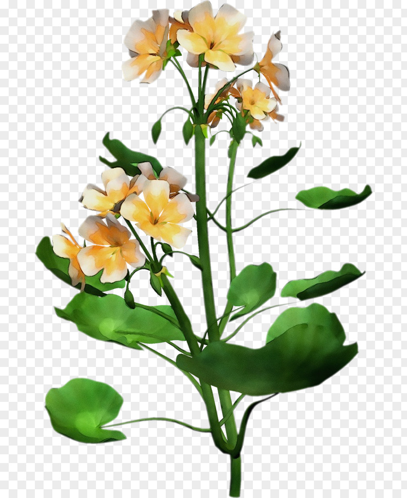 Branch Pedicel Flower Flowering Plant Cut Flowers Yellow PNG