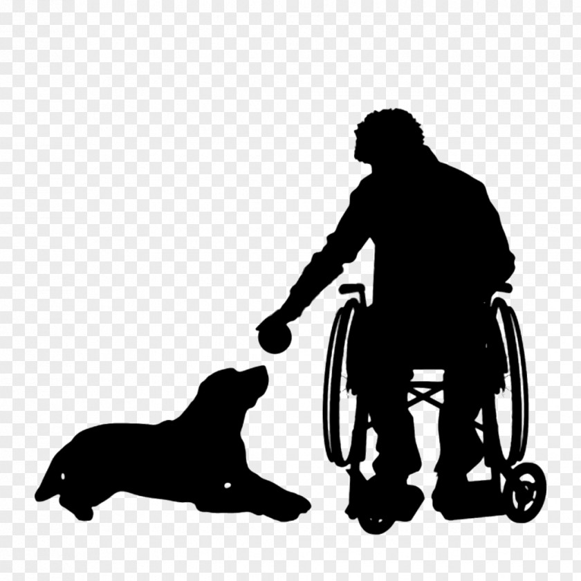 Dog Wheelchair Disability PNG