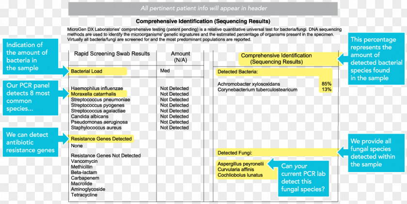 Lab Report The Polymerase Chain Reaction Web Page Form PNG