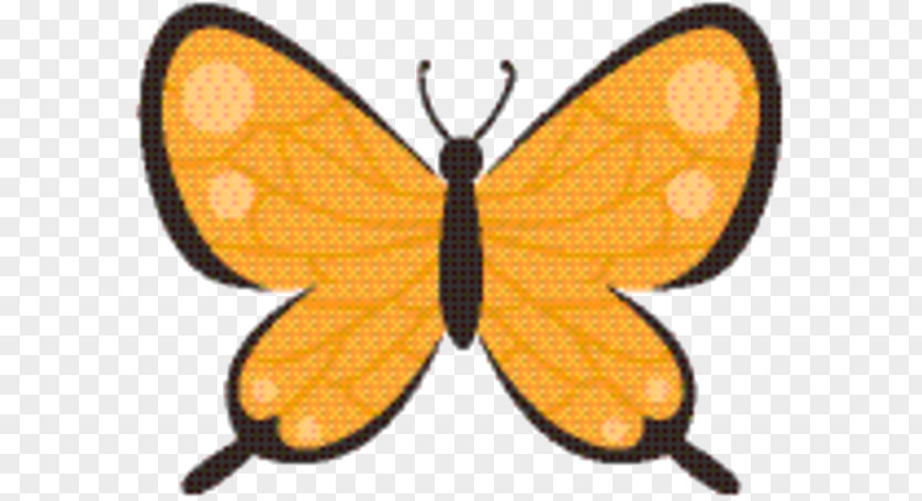 Lycaenid Symmetry Monarch Butterfly PNG