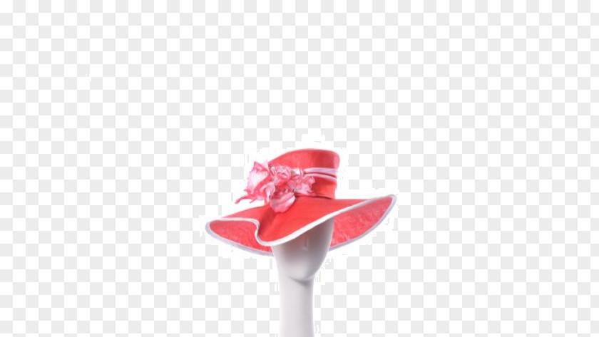 Melbourne Cup Hat PNG