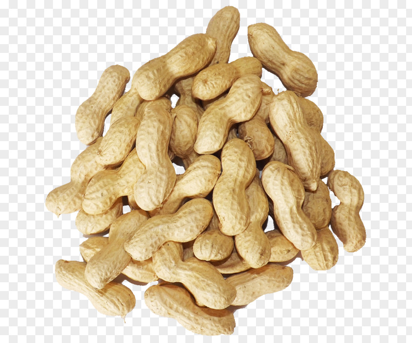 Milk Peanut High-protein Diet Veganism PNG