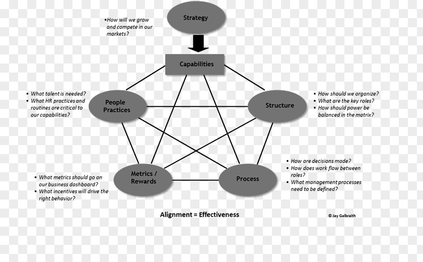 Model Design Organizational Architecture Designing Dynamic Organizations: A Hands-on Guide For Leaders At All Levels Structure PNG