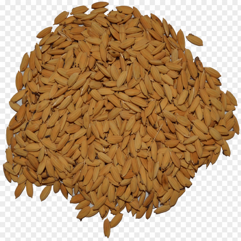 Rice Wheat Oat Malt Vegetarian Cuisine Spelt Cereal PNG