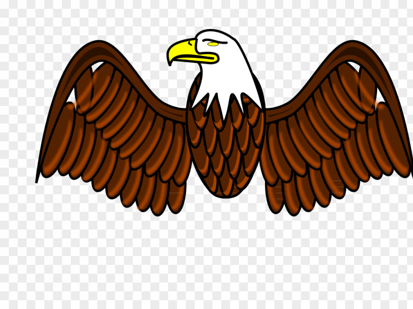 Eagle Wings Bald Clip Art PNG