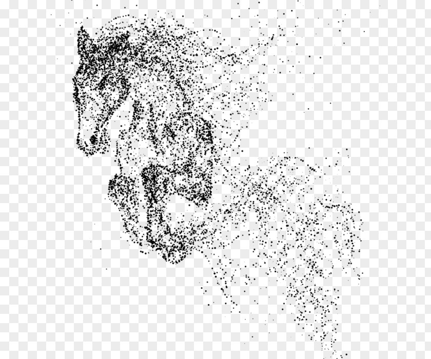 Horse Equestrian Stallion Canter And Gallop PNG
