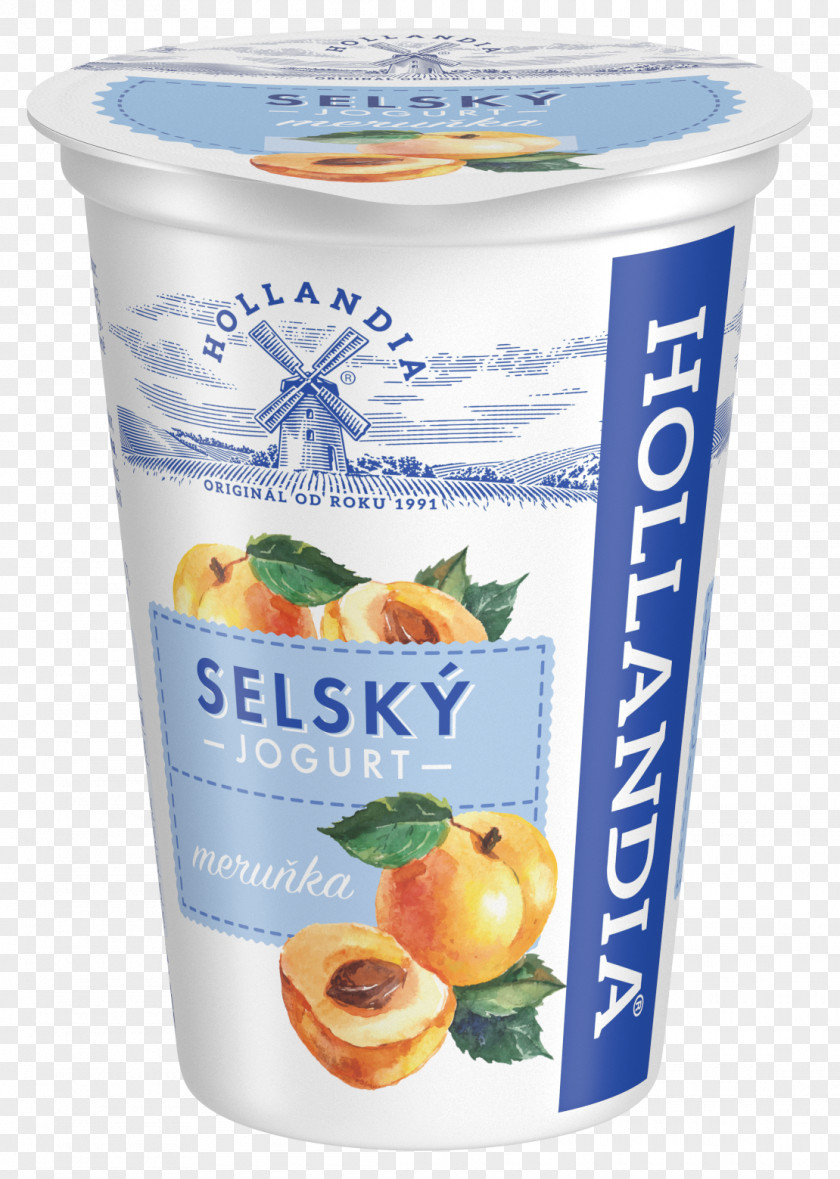 Milk Cream Yoghurt Hollandia Karlovy Vary, A.s. Kefir PNG