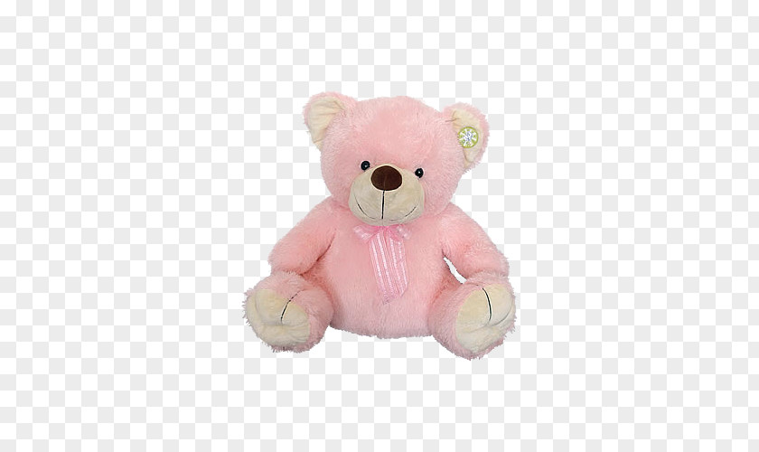 Pink Bear Toy PNG