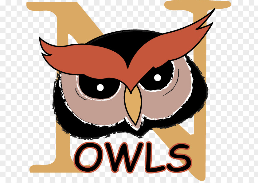 Principal Owl Cliparts National Primary School Clip Art PNG