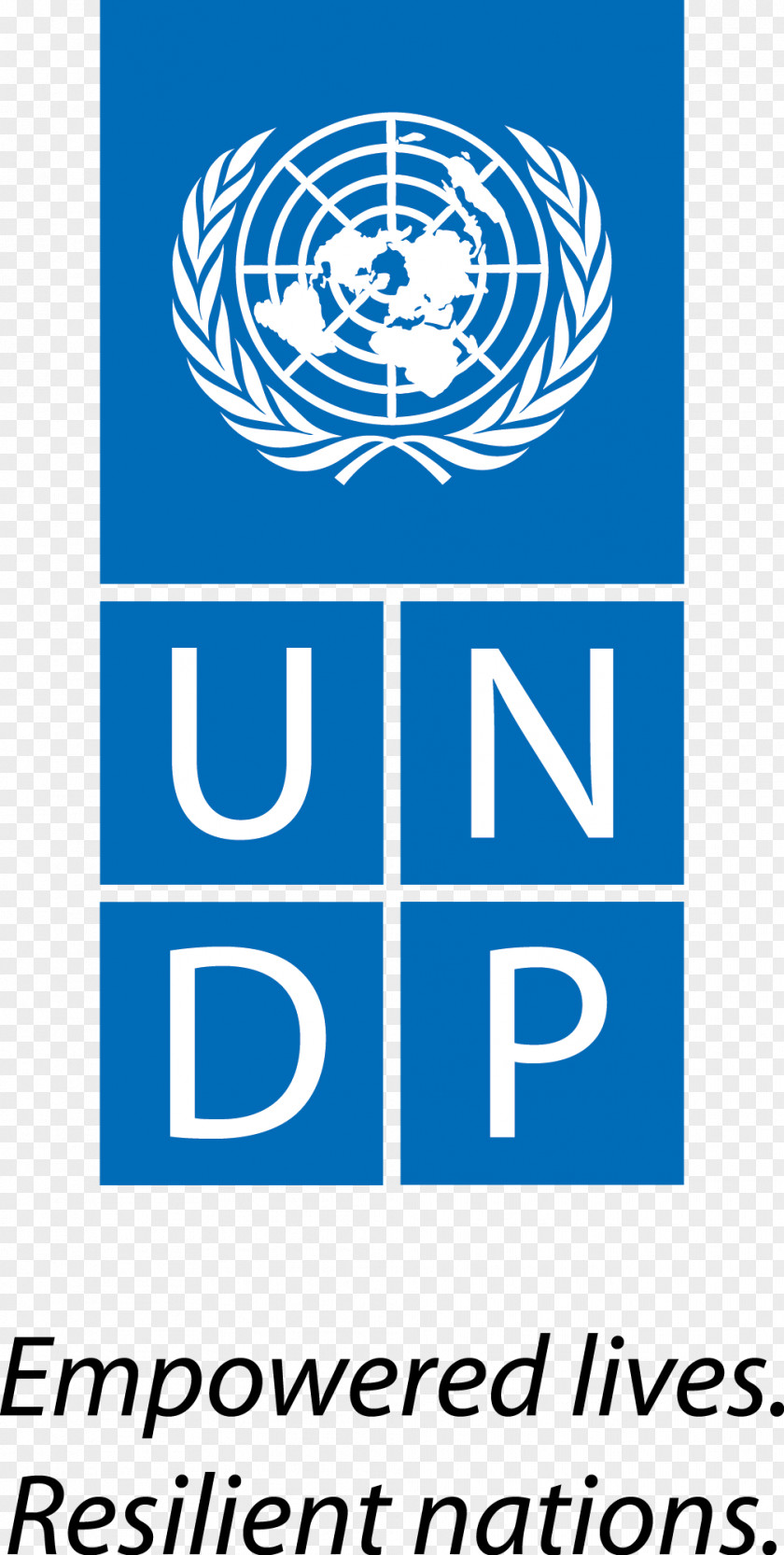 United Nations Development Programme Global Environment Facility Resident Coordinator Organization PNG