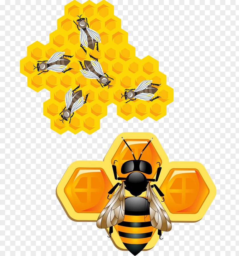 3D Bees Bee Insect Honeycomb Clip Art PNG