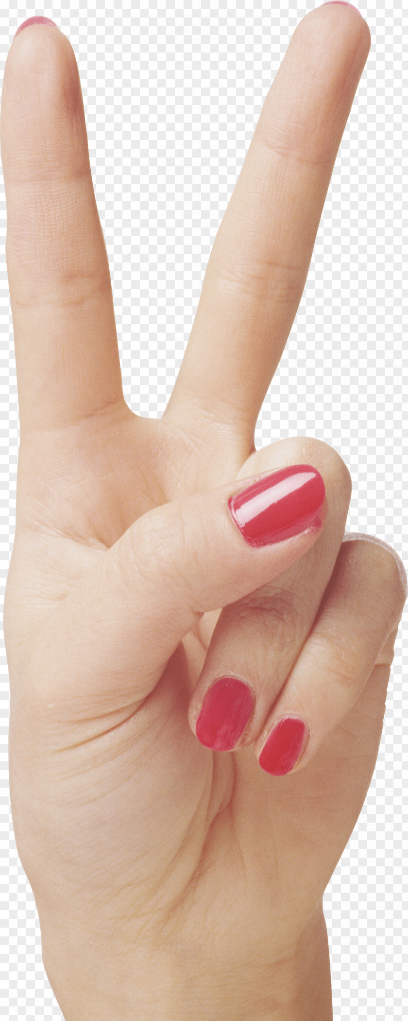 Hand Upper Limb Finger PNG limb Finger, hand clipart PNG