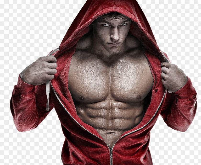 Muscle Fitness Bad Beta Susan A. Bliler Bodybuilding Wasbord PNG