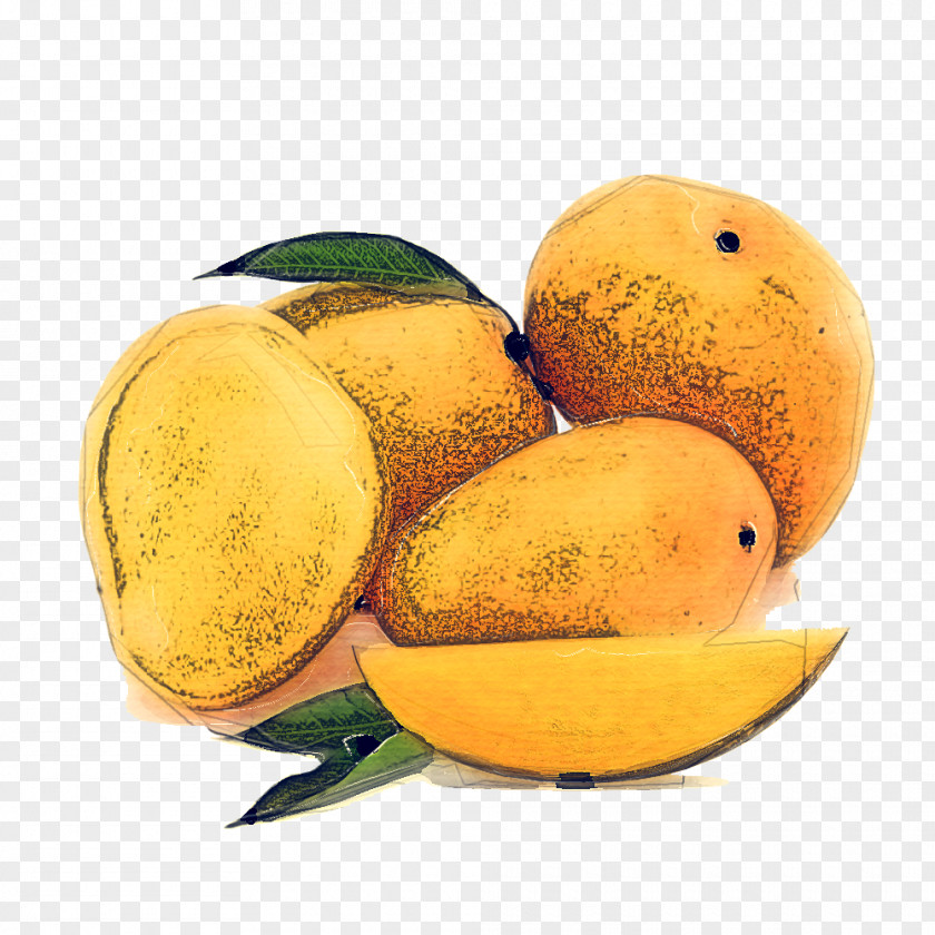 Plant Mangifera Lemon PNG