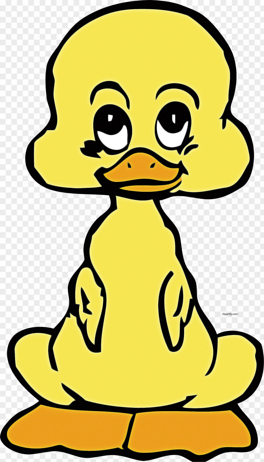 Water Bird Beak Yellow Cartoon Ducks, Geese And Swans Head PNG