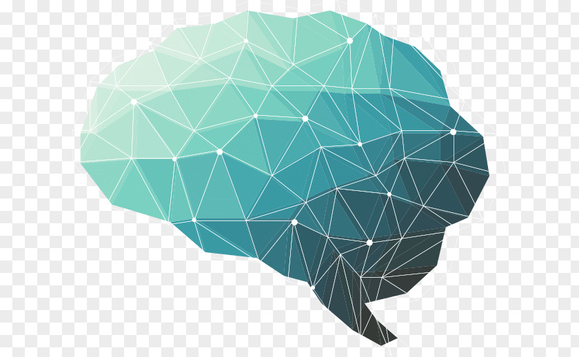 Brain The Female Human Polygon Head PNG