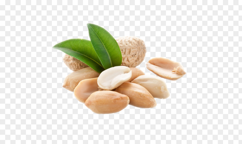 Breakfast Peanut Allergy Food Health PNG
