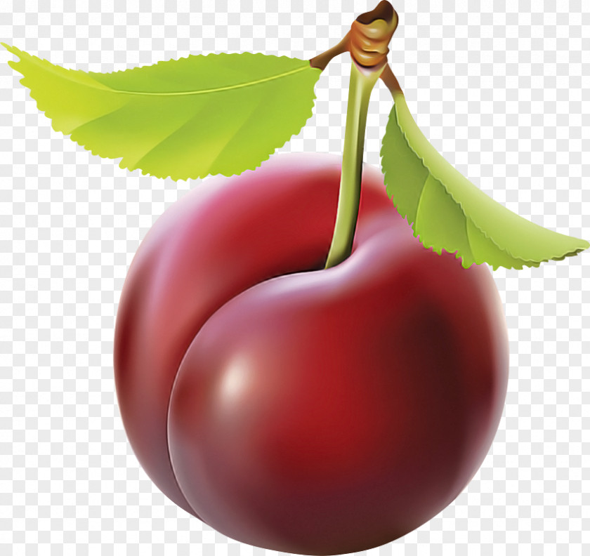 Cherry Fruit European Plum Plant Leaf PNG