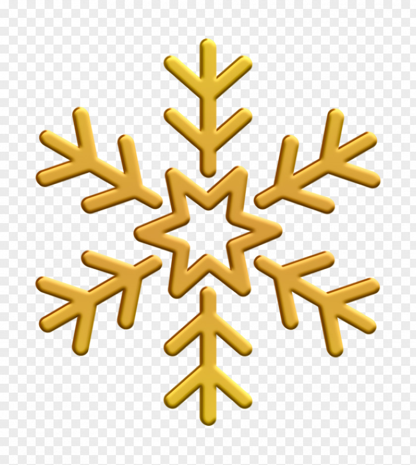 Christmas Icon Snowflake Snow PNG