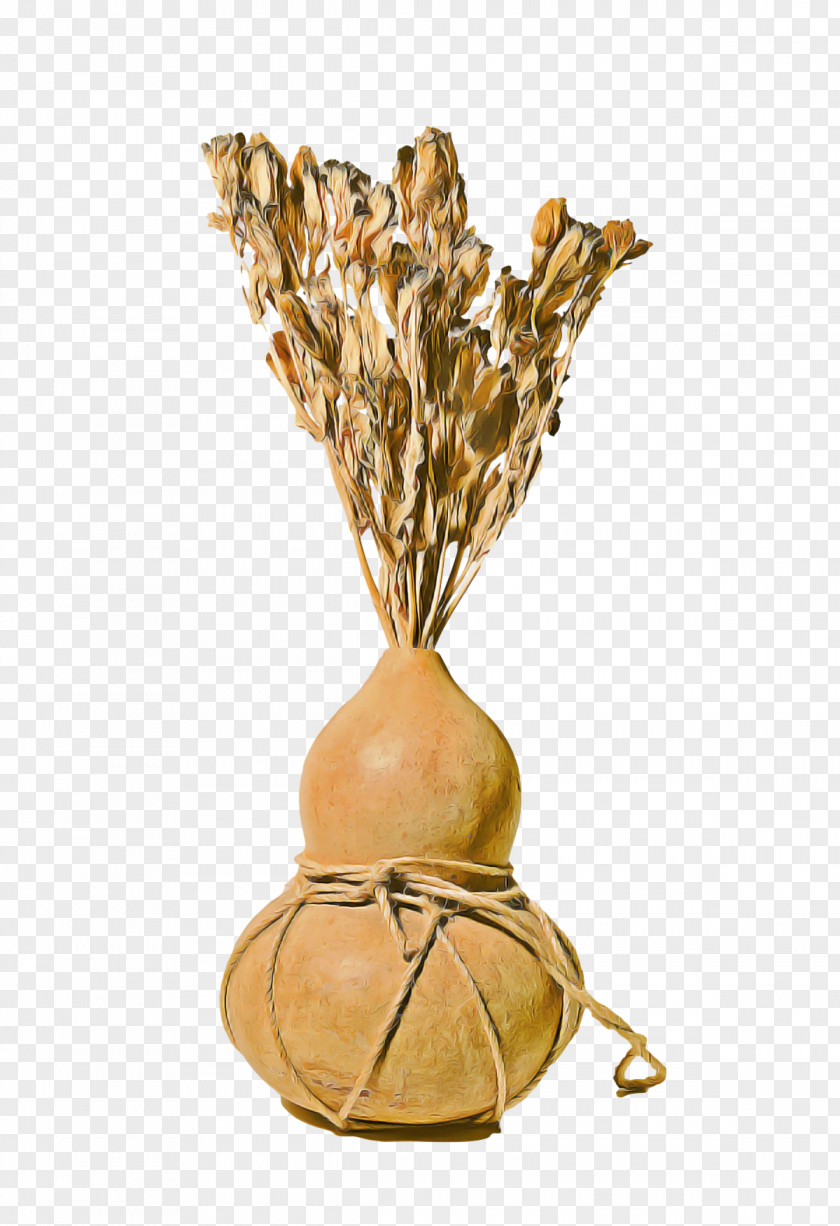 Commodity Vase PNG