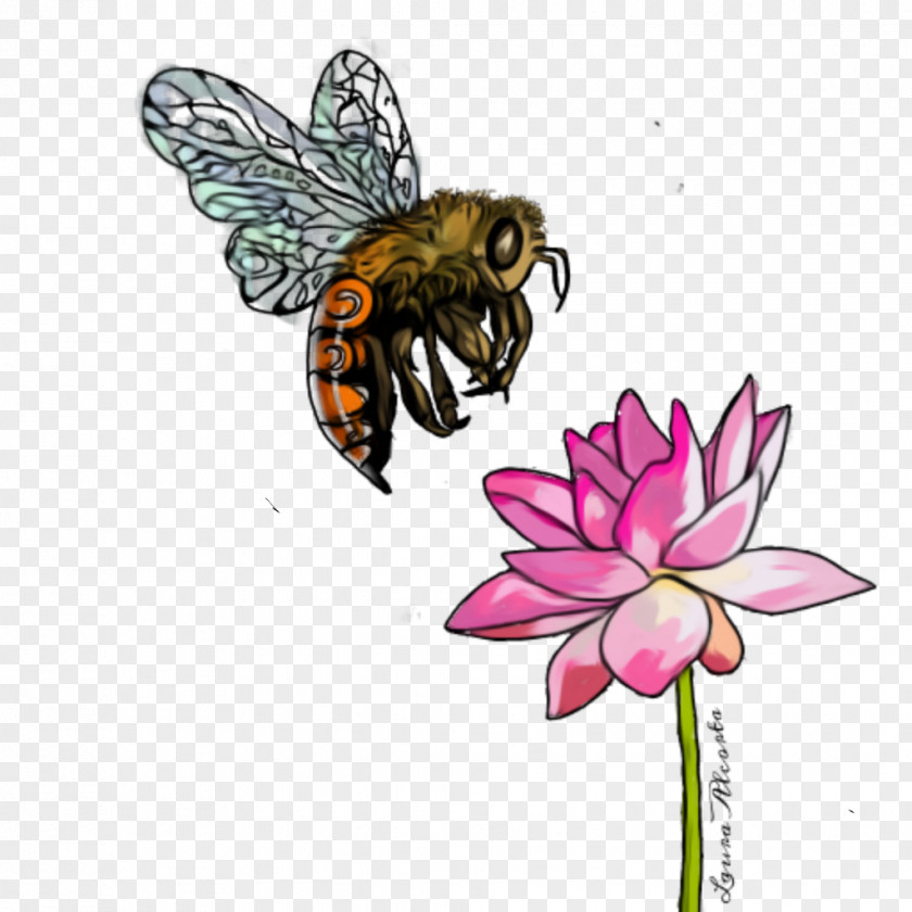 Wildflower Bumblebee Monarch Butterfly Drawing PNG