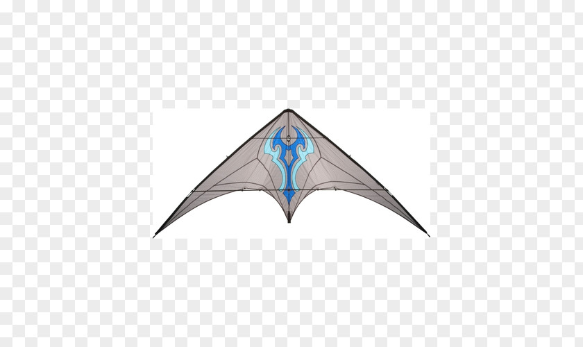 Light Sport Kite Wind Foil PNG