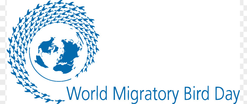 Migratory Bird Day Migration World Birdwatching PNG
