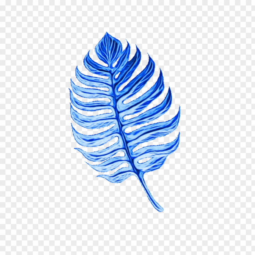 Natural Material Turquoise Leaf Line PNG