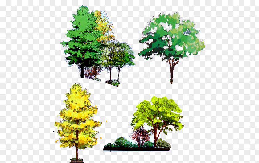 Decorative Trees Tree Computer File PNG