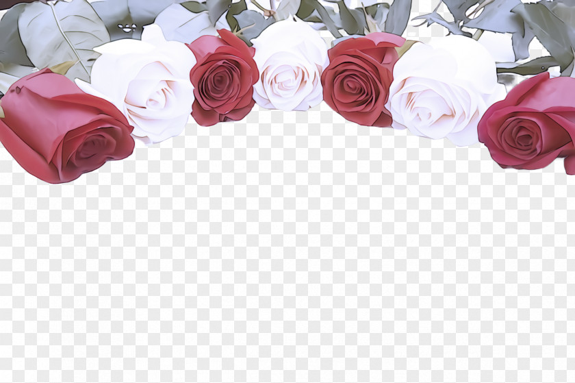 Garden Roses PNG