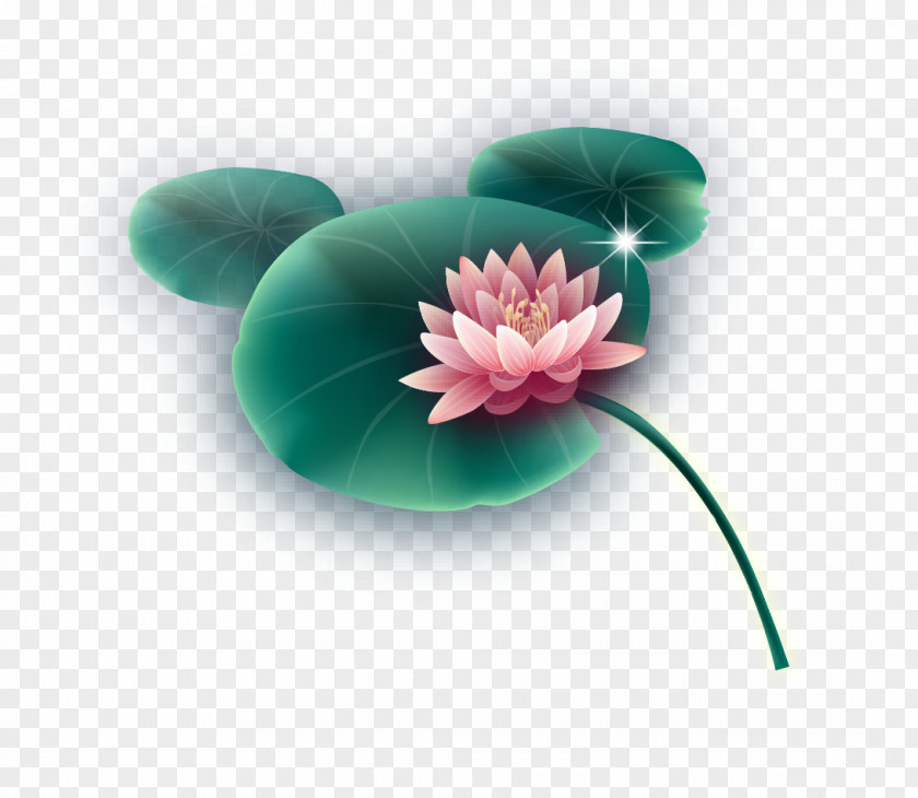 Great Fresh Lotus Nelumbo Nucifera Leaf Effect PNG