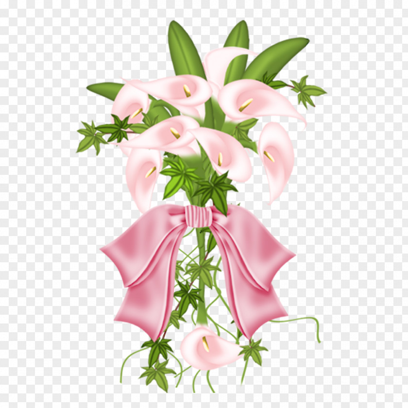Pink Calla Lily Flower Arum-lily Clip Art PNG