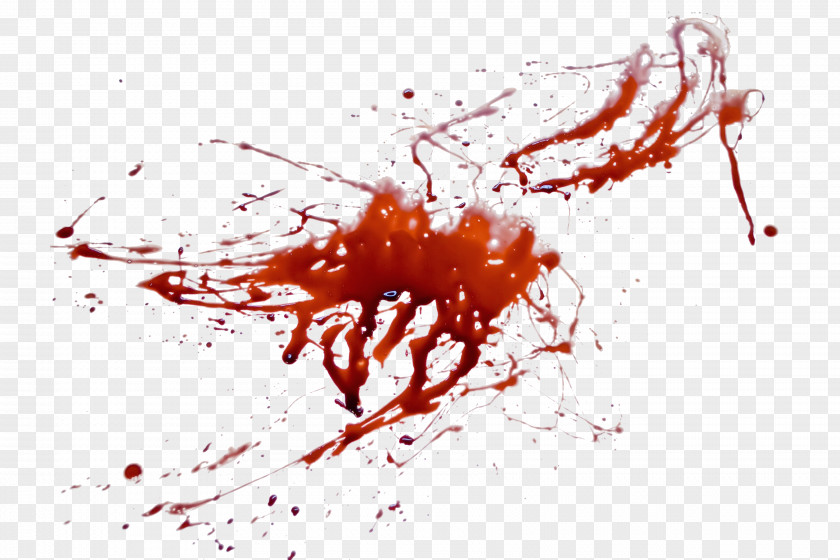 Blood Close-up Clip Art PNG