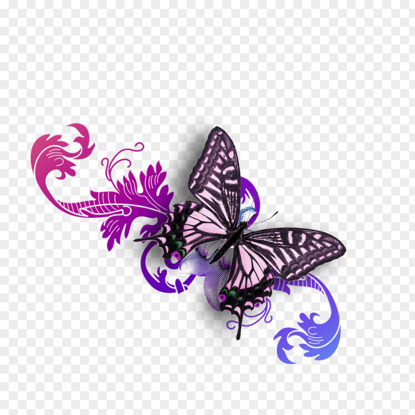 Butterfly Material Purple PNG