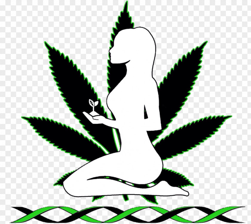 Cannabis Sativa Tetrahydrocannabinol Smoking Marijuana PNG