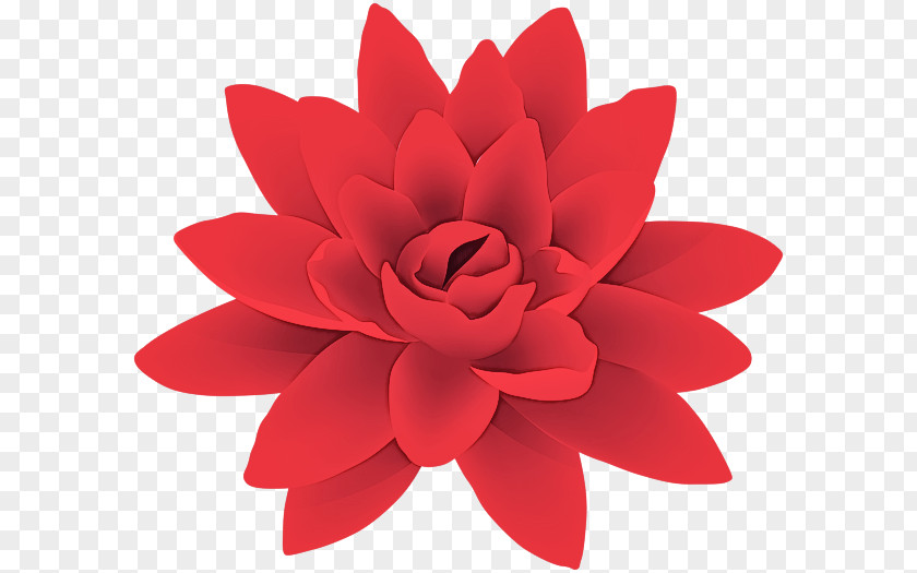 Cut Flowers Bandai Flower-m Flower PNG