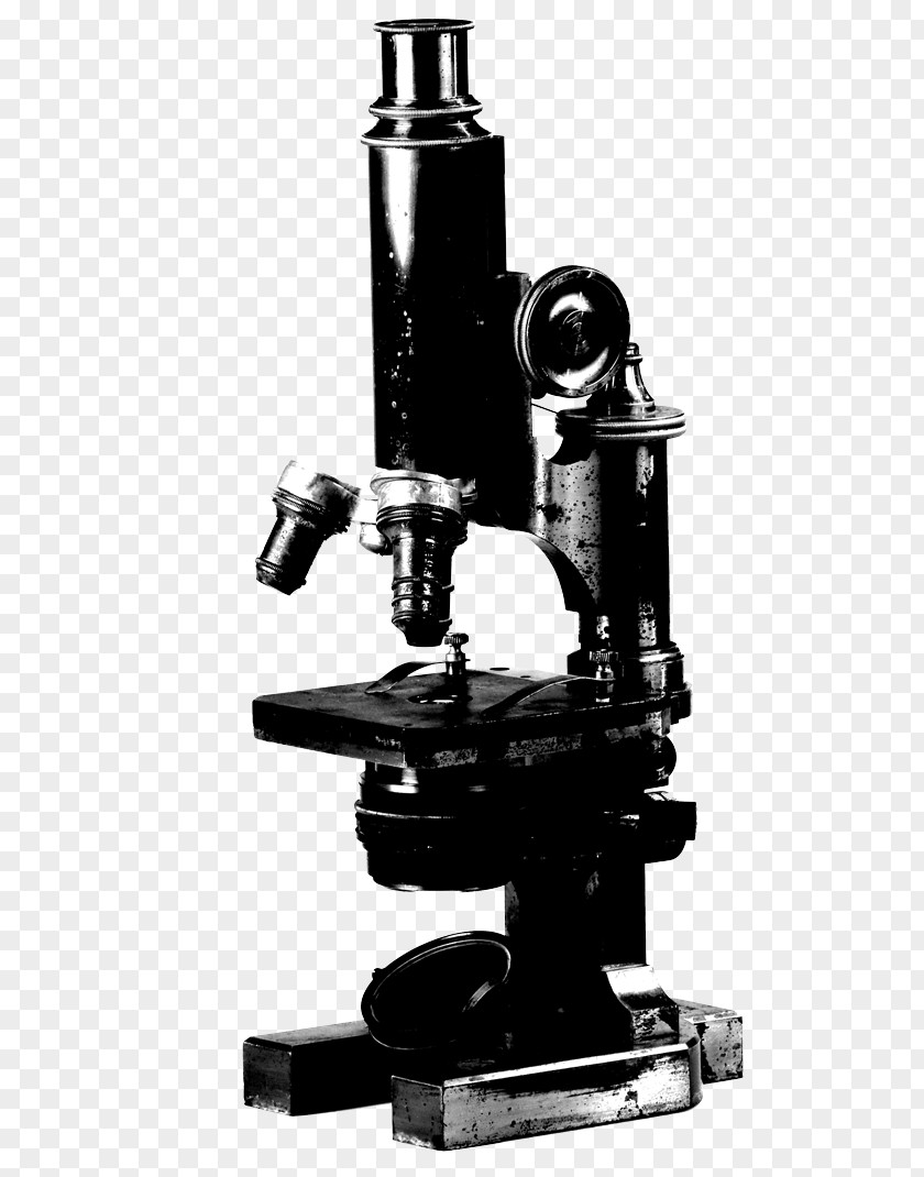 Microscope Stock Photography Stock.xchng Image Royalty-free PNG