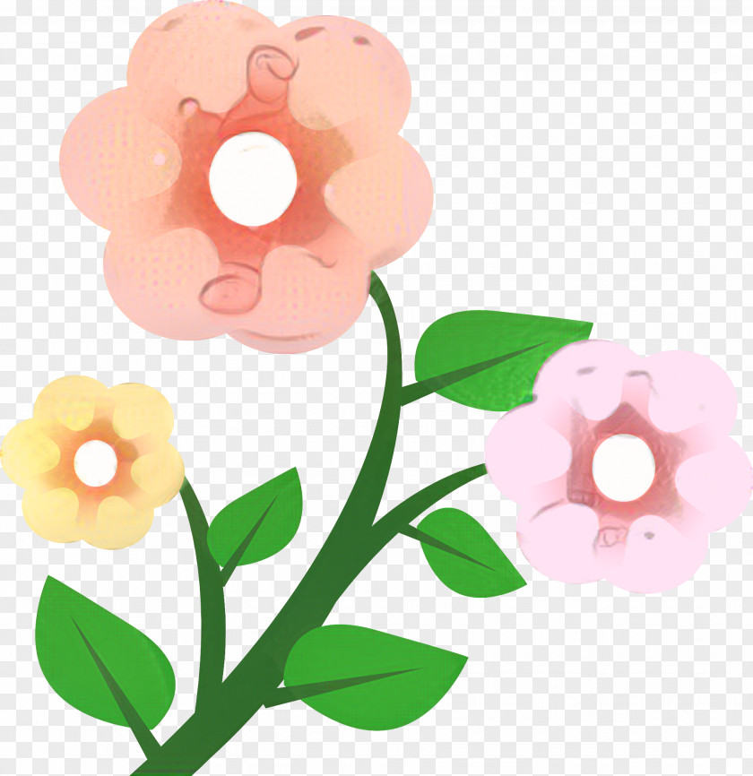 Petal Plant Pink Flowers Background PNG
