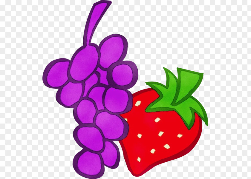 Radish Grapevine Family Violet Grape Fruit Clip Art Purple PNG