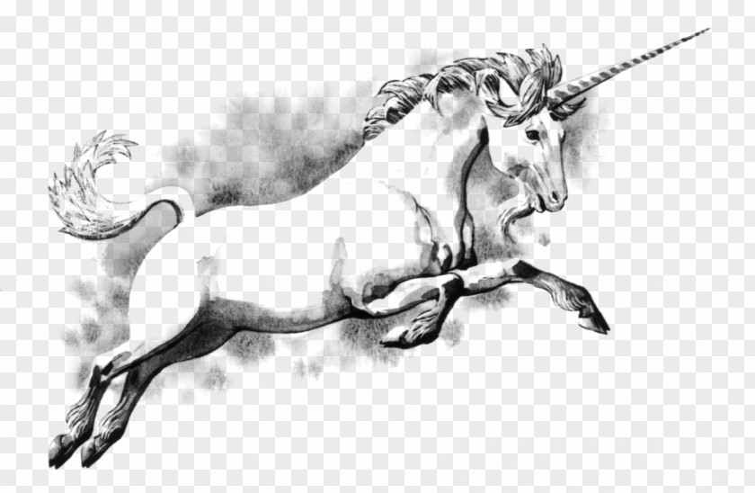 Unicorn Unkind To Unicorns: Comic Verse Of A.E. Housman Legendary Creature Fairy Tale Scotland PNG