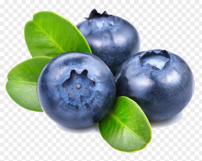 Blueberry Smoothie PNG