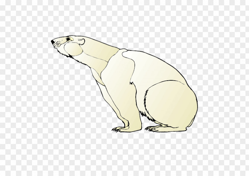 Hand-painted Bear Polar Earless Seal Otter Rabbit PNG
